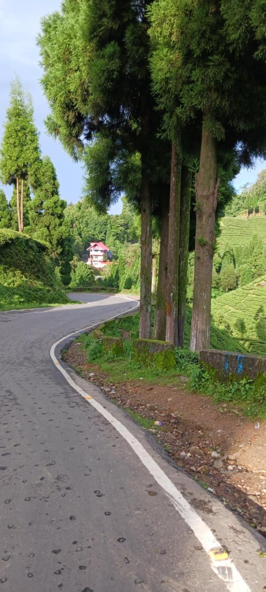 Lotus Homestay Darjeeling  Esterno foto